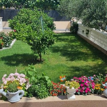 Apartmani Italo ビオグラード・ナ・モル エクステリア 写真