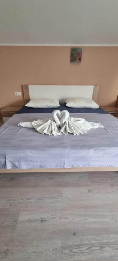 Apartmani Italo ビオグラード・ナ・モル エクステリア 写真