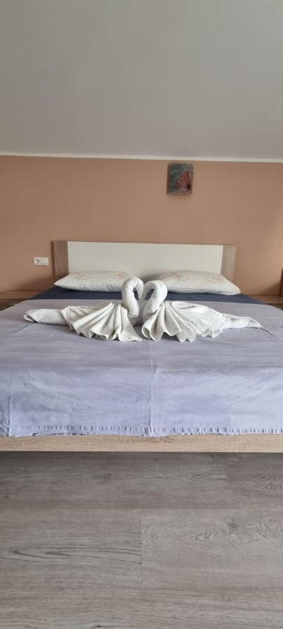 Apartmani Italo ビオグラード・ナ・モル エクステリア 写真