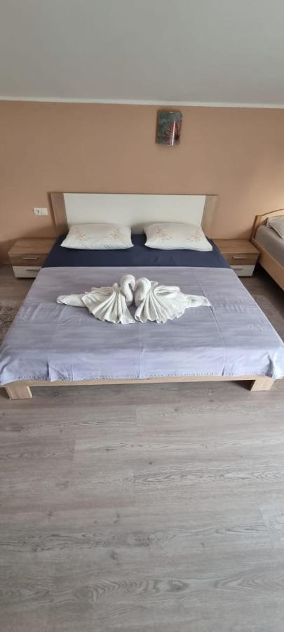 Apartmani Italo ビオグラード・ナ・モル エクステリア 写真